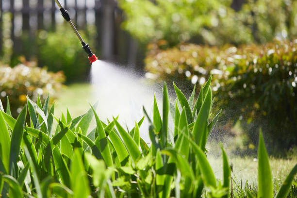 24/7 Emergency Cockroach Control experts in Citrus, CA